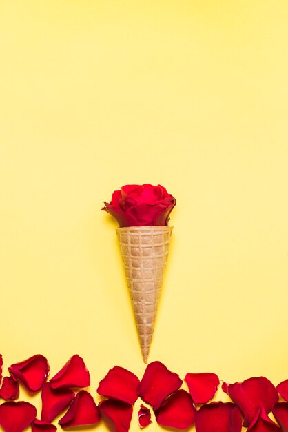 Rose bud in waffle cone on yellow table