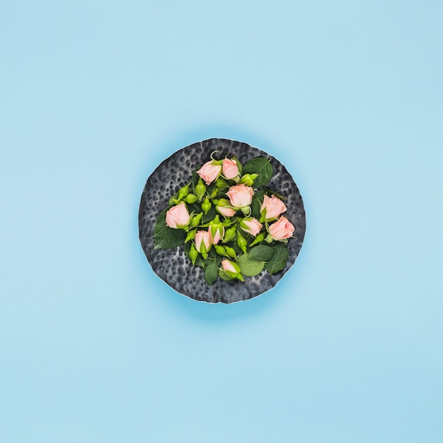 Rose; buds on circular black stone against blue background