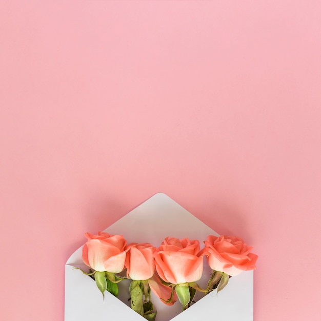 핑크 테이블에 봉투에 장미 꽃