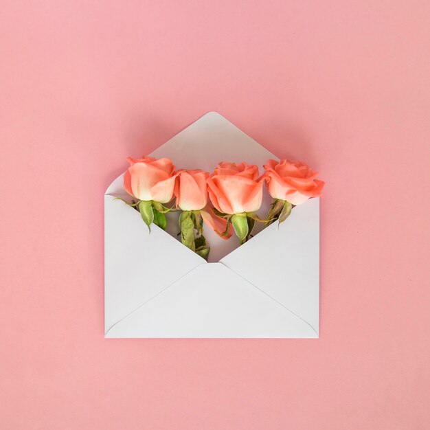 Розовые цветы в конверте на столе