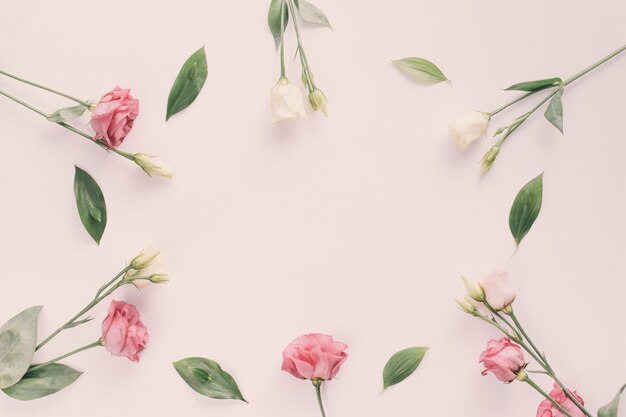 Rose flowers with green leaves on table