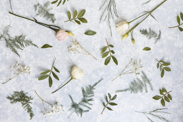 Rose flowers with green plant branches on table