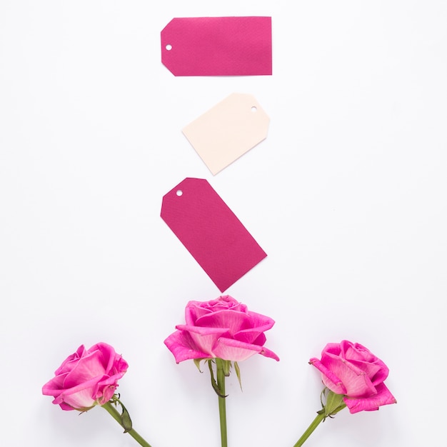 Rose flowers with small papers on table