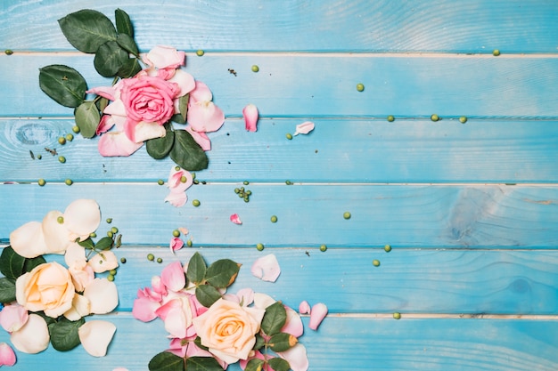 Rose heads and petals