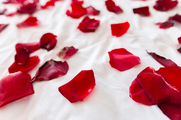 Free Photo rose petals border