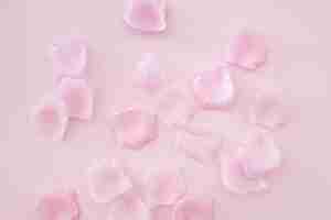 Free photo rose petals on pink background