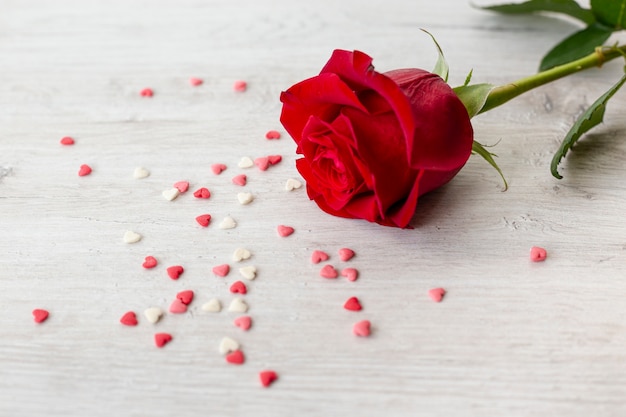 Foto gratuita rosa con cuori per san valentino