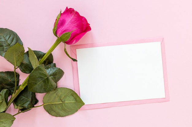 Foto gratuita rosa con carta per san valentino