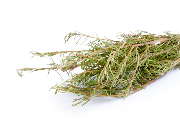 Rosemary branches isolated on white background