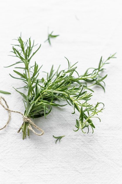 Free photo rosemary leaves close up