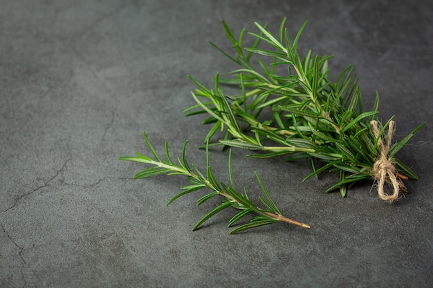 Rosemary plants place on dark floor