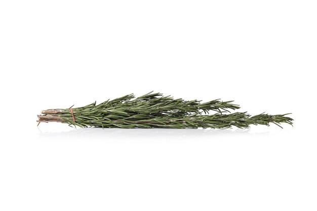 Rosemary on a white surface