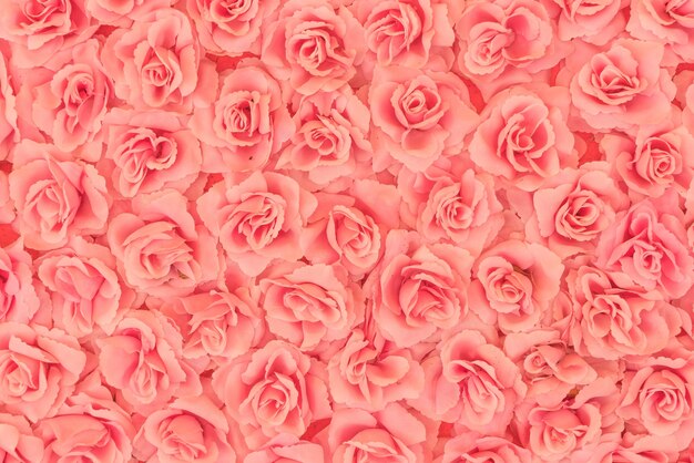 roses background