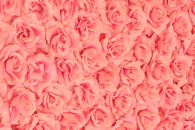 roses background