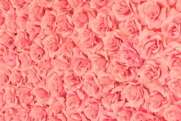 roses background