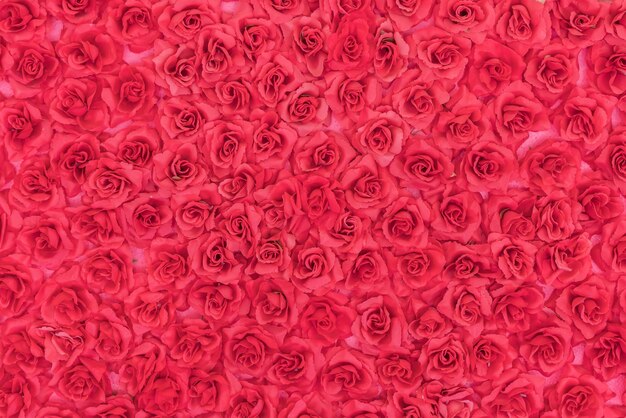 roses background