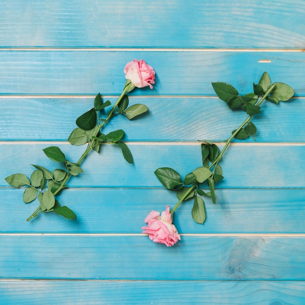 Roses on blue table