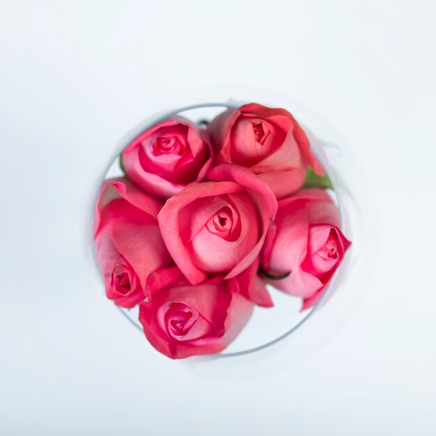 Roses buds in glass on white table