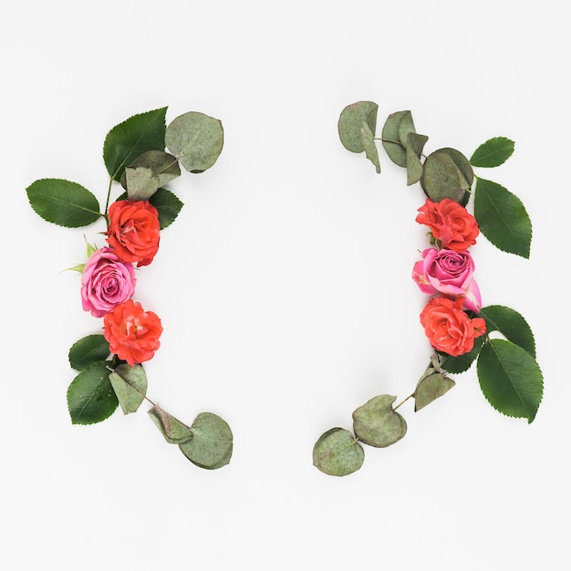 Roses and leaves decoration on white backdrop