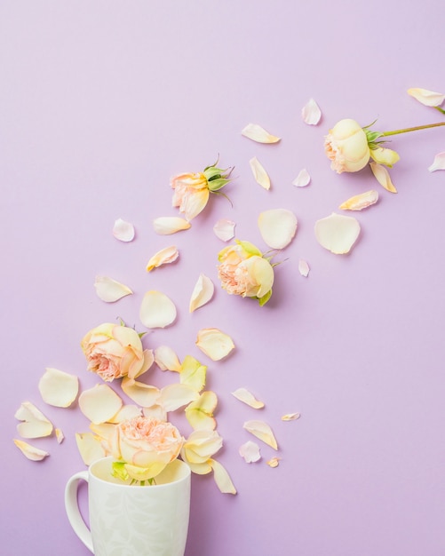 Roses and petals near mug