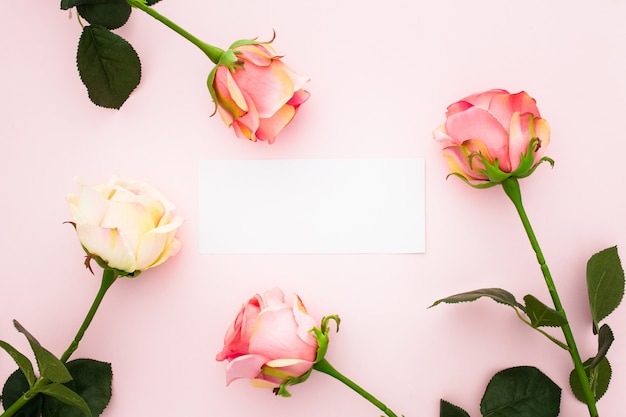 Roses on pink with a empty greeting card