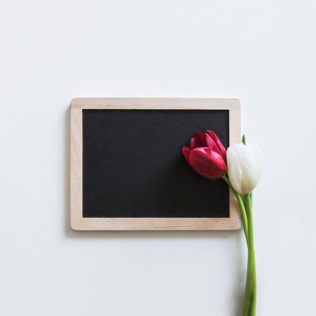 Free photo roses on slate for spring