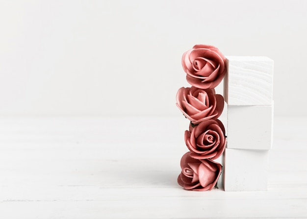 Roses and white cubes with copy space