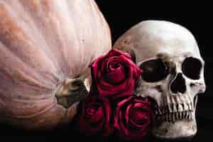 Free photo roses with human skull and pumpkin