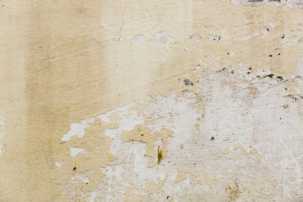 Free photo rough cement wall with paint