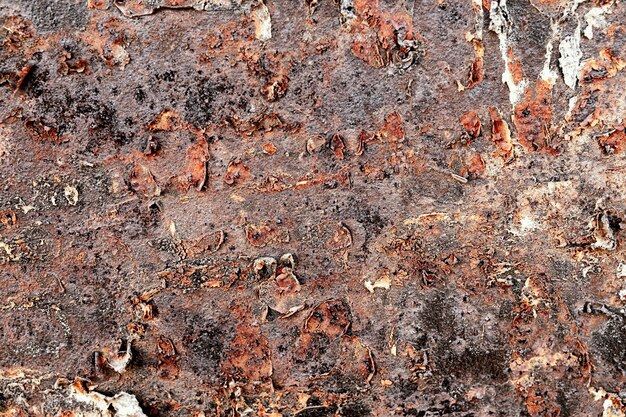 Rough metallic surface texture