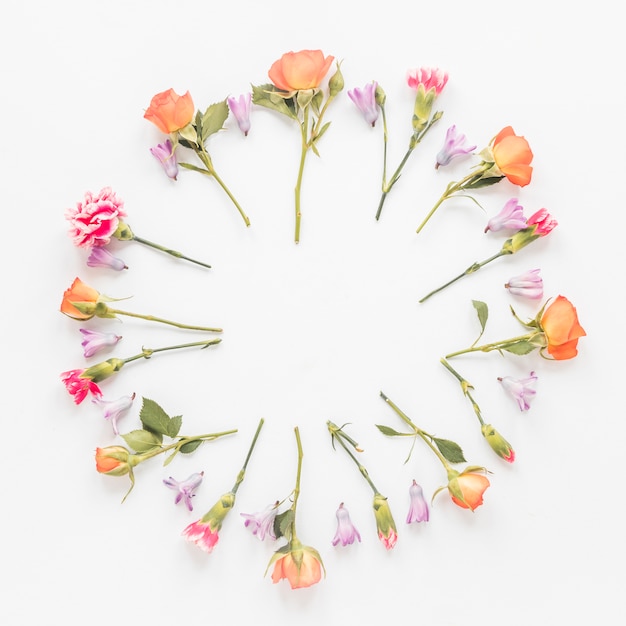 Foto gratuita cornice rotonda da diversi fiori sul tavolo