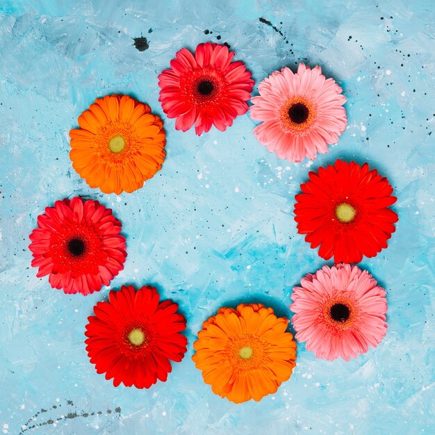 Round frame from gerbera flowers on table