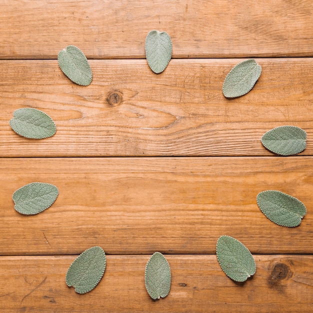 Round from leaves