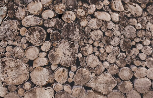 Round teak wood stump background