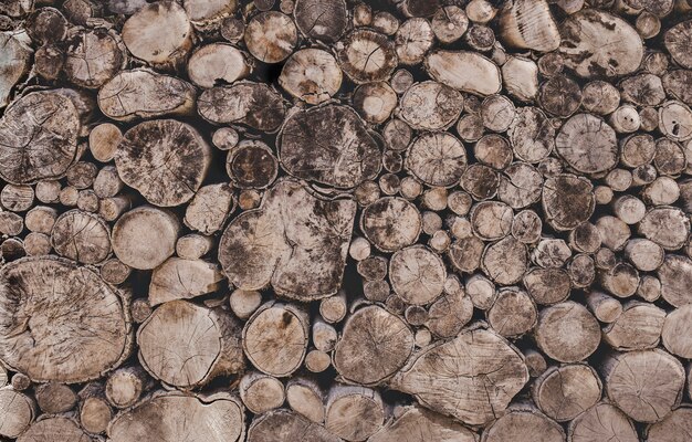 丸いチーク材の木の切り株の背景
