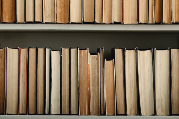 Row of books as background, literature concept