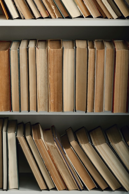 Row of books on shelves, literature concept