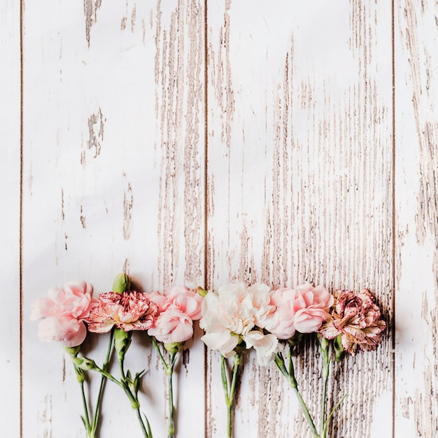 Row of carnation flowers arranged on wooden table