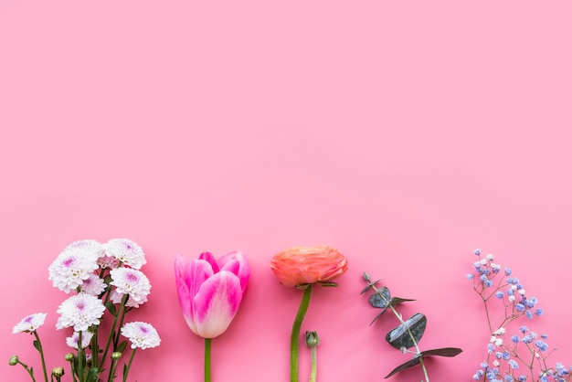 Row of different colourful fresh flowers on stems