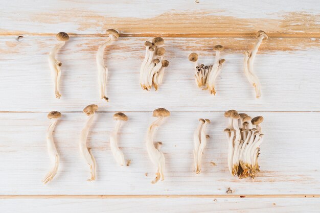 Ряд съедобных грибов на деревянный стол