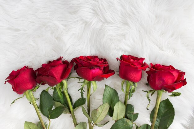 Row of fresh flowers on woolen coverlet