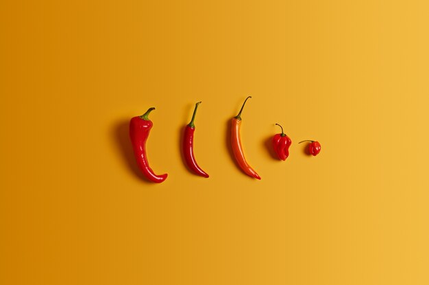 Row hot red chilli pepper of different size and shape on yellow background. Kinds of hot pepper. Spicy food concept. Several cayennes. Nobody on photo. Healthy vegetables for preparing salad