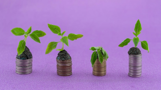 녹색 식물이 시들고 생명이 솟아나는 동전 행 돈 동전에 성장하는 식물 비즈니스 성장 투자 개념