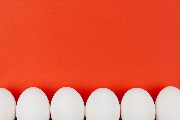Row of white chicken eggs on red table