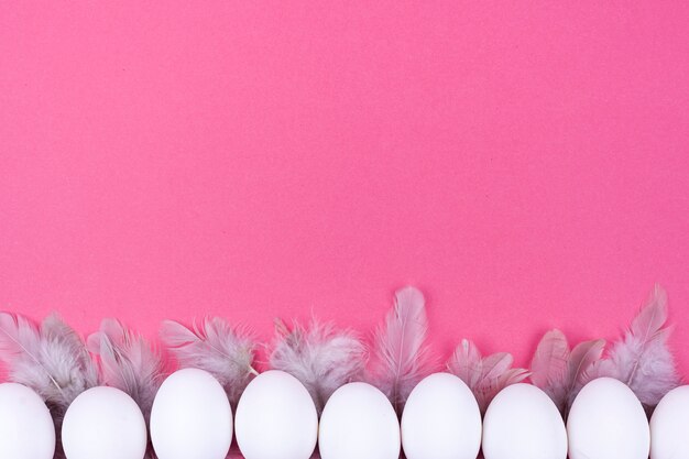 Row of white chicken eggs with feathers 