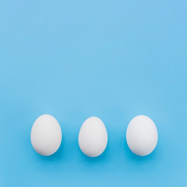 Row of white eggs 