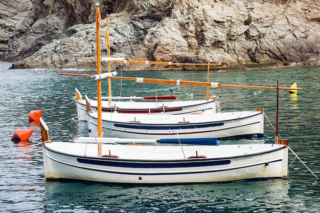 Free photo row of white sailboats floating on water near a cliff