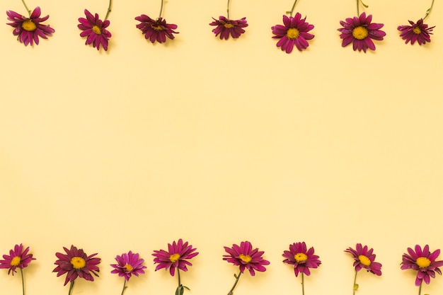 Rows of pink flowers on table