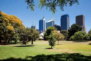 Free photo royal botanic gardens of sydney, australia