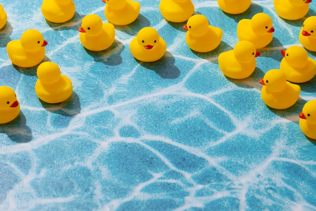 Free photo rubber ducks arrangement still life